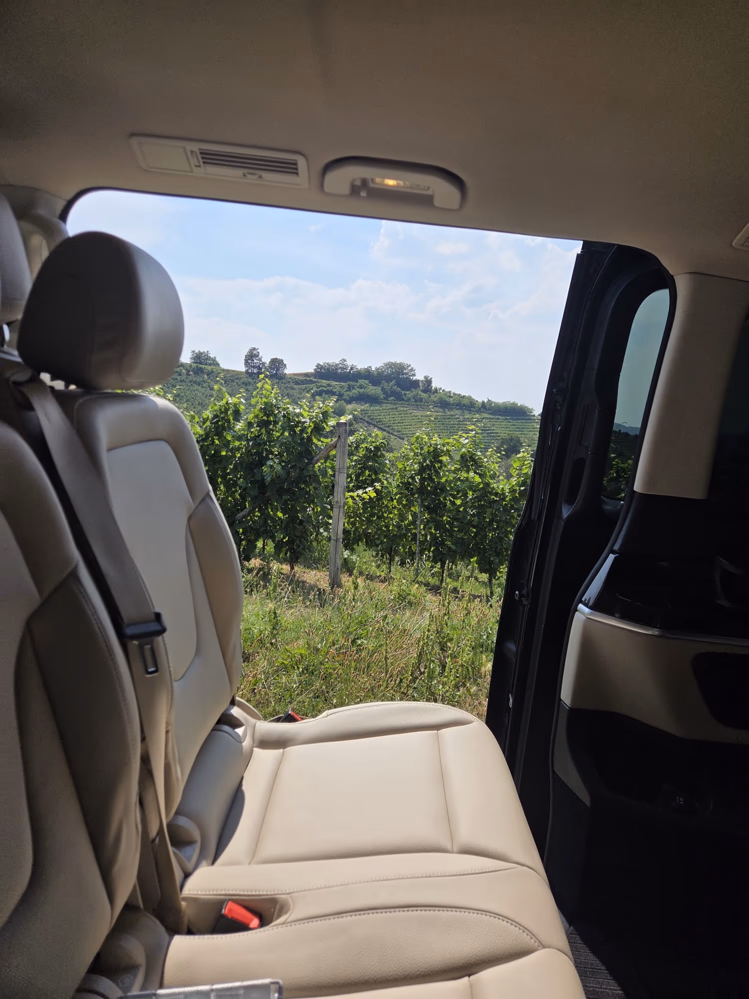 Hillside vineyard seen through the open sliding door of NexDriver's Mercedes V-Class, cream leather seats in the foreground
