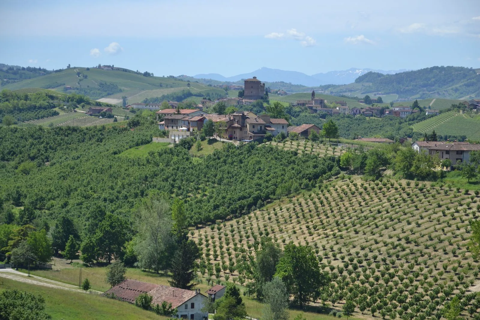 Rolling vineyard hills in the Italian countryside, typical of the wine country landscape near Franciacorta